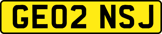 GE02NSJ