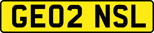 GE02NSL