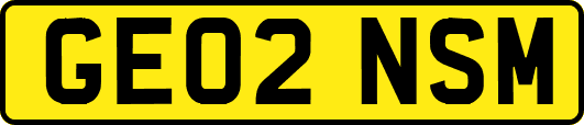 GE02NSM