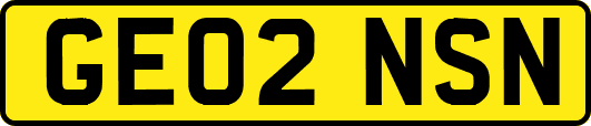 GE02NSN