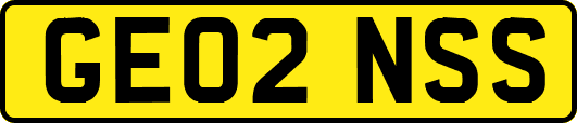 GE02NSS