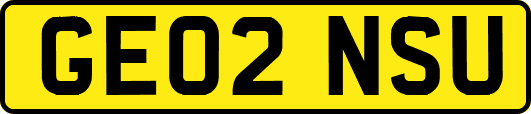 GE02NSU