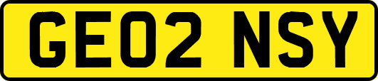 GE02NSY