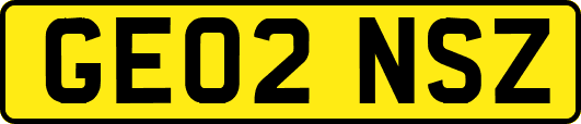 GE02NSZ
