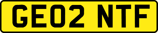GE02NTF