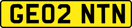 GE02NTN