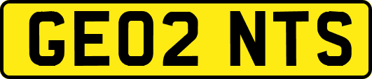 GE02NTS