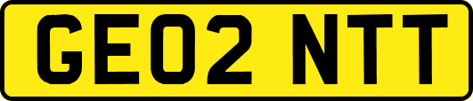 GE02NTT
