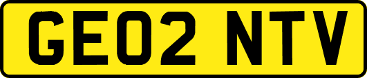 GE02NTV