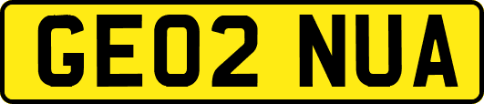 GE02NUA