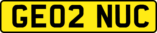 GE02NUC