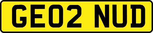 GE02NUD
