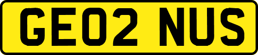 GE02NUS