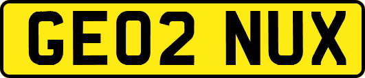 GE02NUX