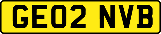 GE02NVB
