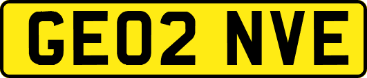 GE02NVE