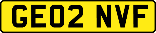 GE02NVF