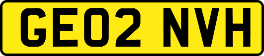 GE02NVH