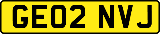 GE02NVJ