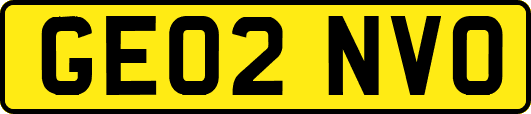 GE02NVO