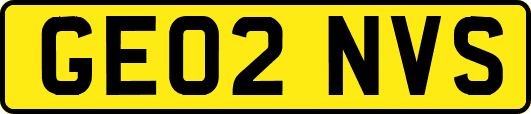 GE02NVS