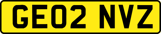 GE02NVZ