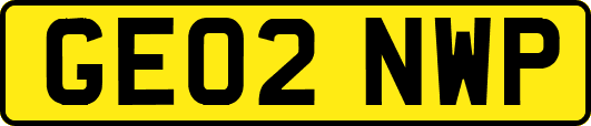 GE02NWP