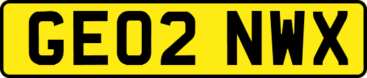 GE02NWX