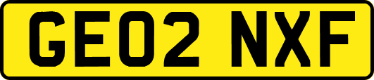 GE02NXF