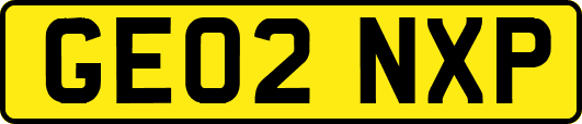 GE02NXP