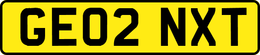 GE02NXT