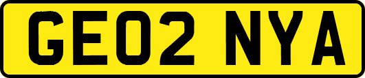 GE02NYA