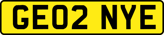 GE02NYE