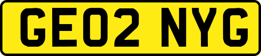 GE02NYG