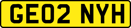 GE02NYH