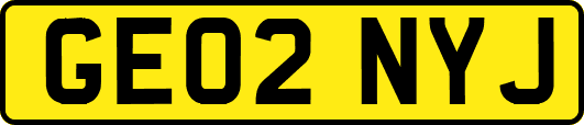 GE02NYJ