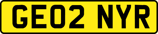 GE02NYR
