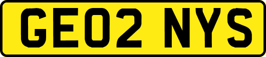 GE02NYS