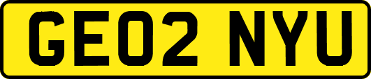 GE02NYU