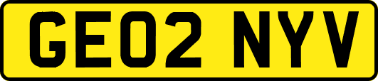GE02NYV