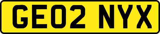 GE02NYX