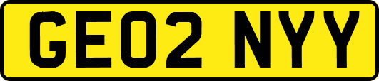 GE02NYY
