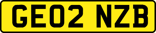 GE02NZB