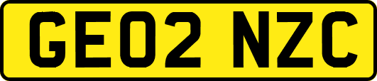GE02NZC