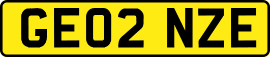 GE02NZE