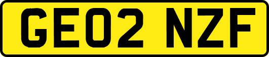 GE02NZF