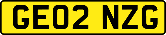 GE02NZG