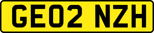 GE02NZH