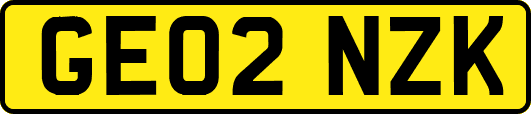 GE02NZK