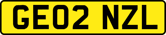 GE02NZL